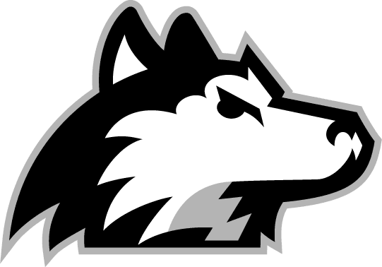 Northern Illinois Huskies 2001-Pres Alternate Logo t shirts iron on transfers v7